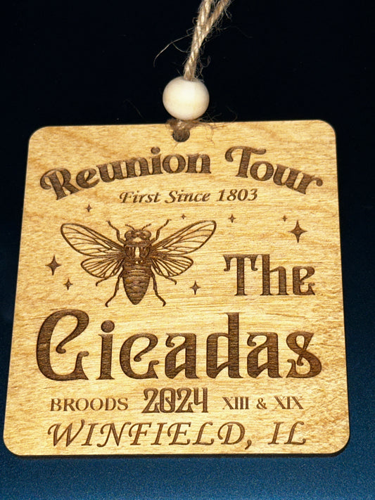 Reunion Tour Cicadas